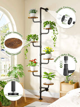 C5 Plant Stand Indoor, 6-Tier Plant Shelf, Tall Wall Mounted Metal Pole & Rotating Wooden Board Plant Holder for French Window, Corner, Home Decor