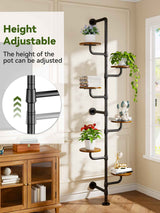 C5 Plant Stand Indoor, 6-Tier Plant Shelf, Tall Wall Mounted Metal Pole & Rotating Wooden Board Plant Holder for French Window, Corner, Home Decor